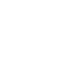Diesel Repair