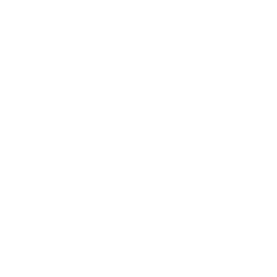 Suspension Repair