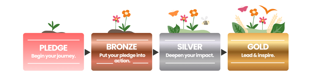 https://s3-eu-west-1.amazonaws.com/leaf-website/Demo-Schools-Levels-Infographic-1.png
