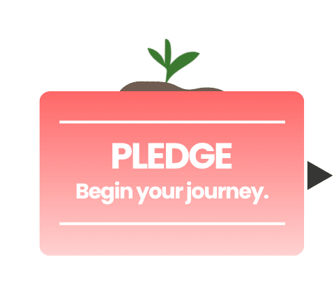 https://s3-eu-west-1.amazonaws.com/leaf-website/Demo-Schools-Levels-Infographic-pledge.png