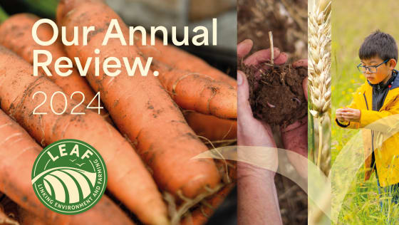 LEAF 2024 Annual Report