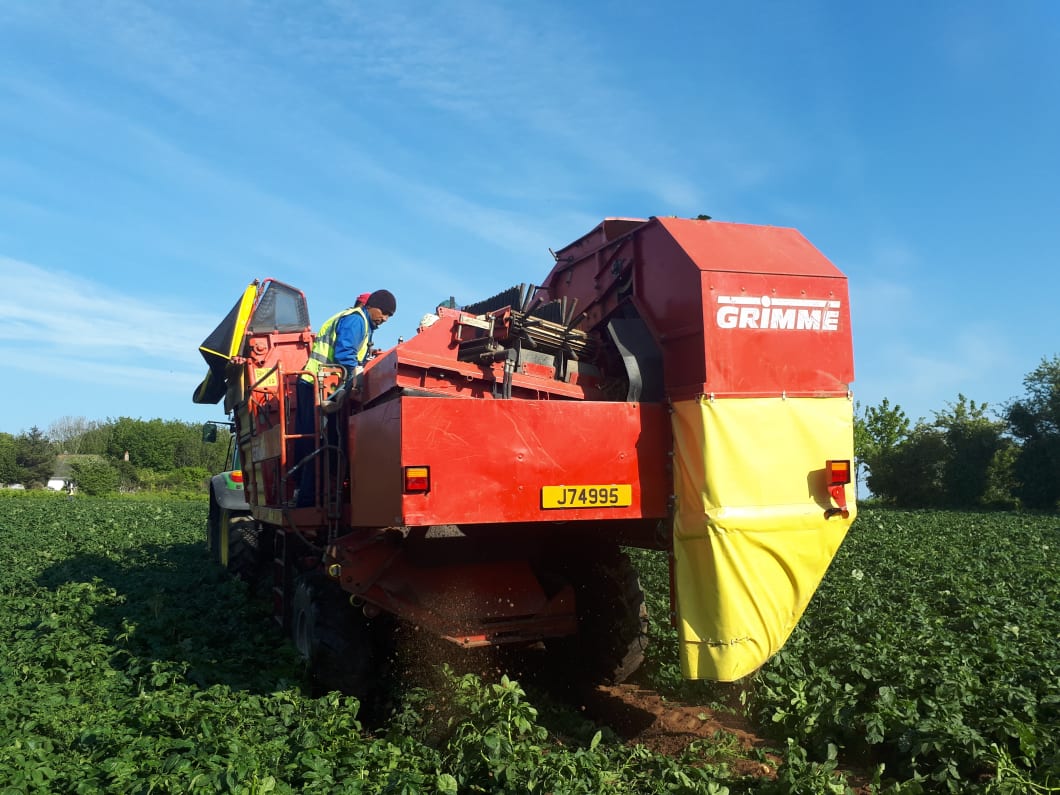 The Jersey Royal Company - Get your Jersey Royals to help celebrate this  fantastic Jubilee bank holiday simply delicious! #farmjersey  #jerseyroyals