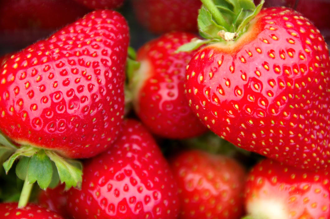 Strawberry1.jpg#asset:2888