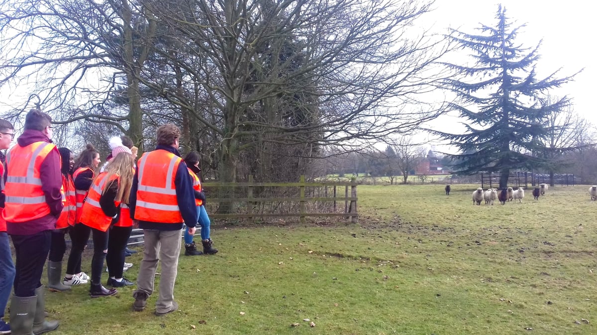 Header image secondary students watching sheep Business Studies Day 1 4