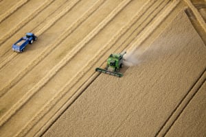 On-farm Crop Type Question