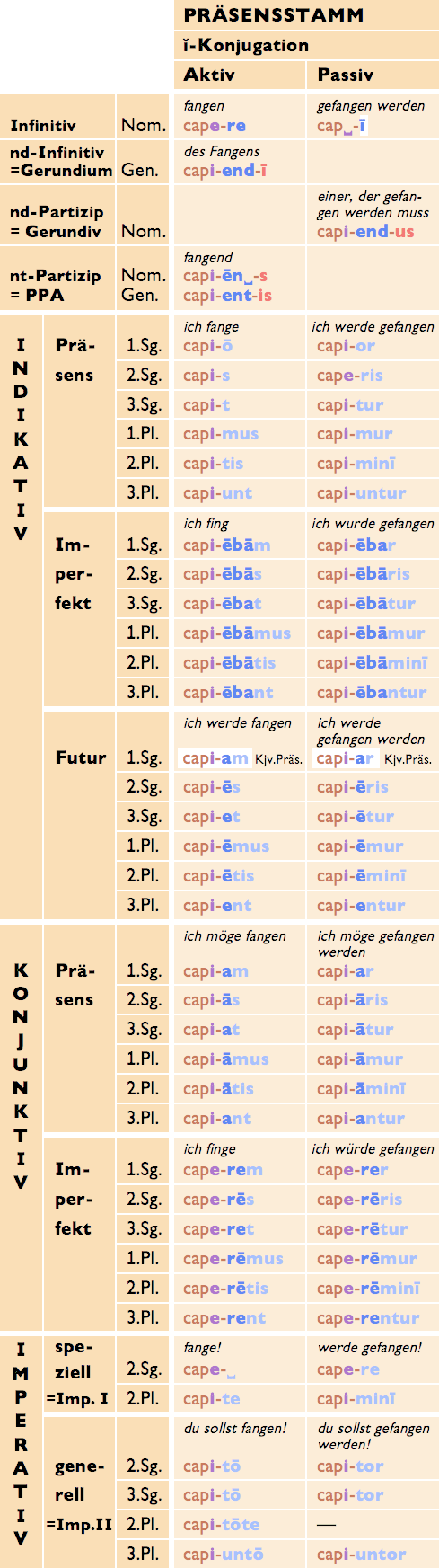 Kurzvokalische ĭ Konjugation Latein Einfach Erklart