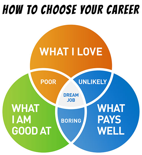 how to choose your career