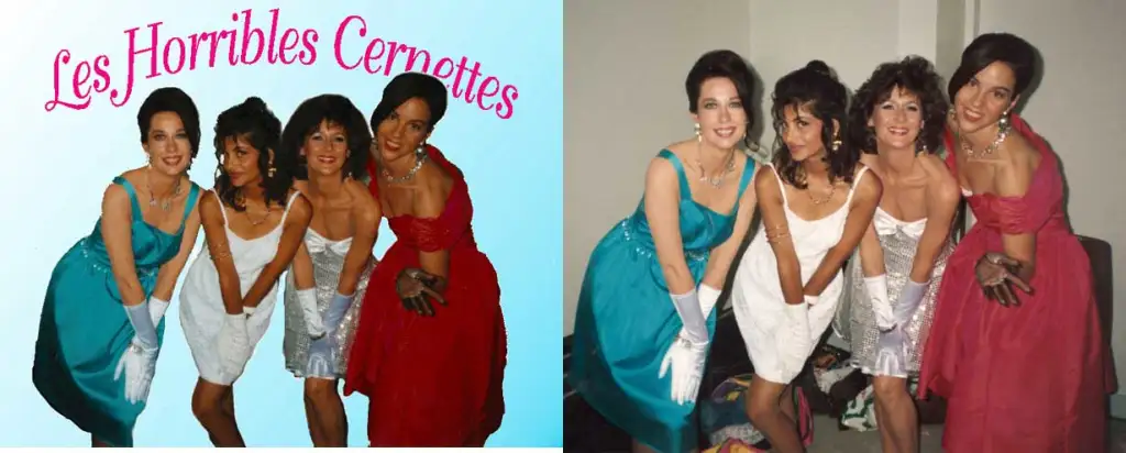 Les Horribles Cernettes The First Image on Internet