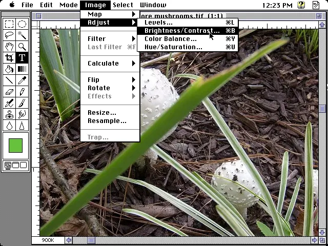 Adobe Photoshop 1.0 Workspace and Image Menu (1990)