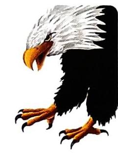 03._Animals_-_Birds_img_3