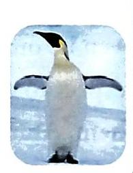 03._Animals_-_Birds_img_40