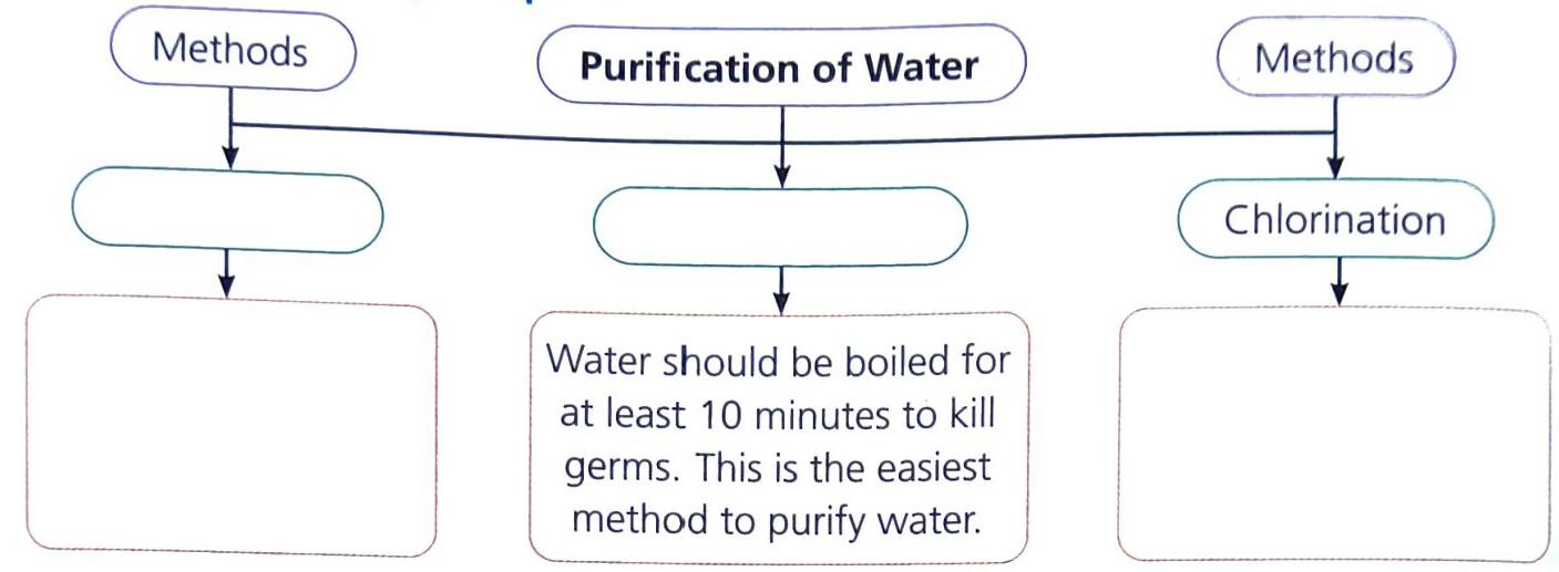 A diagram titled 'Purification of Water' shows three branches labeled 'Methods'. The central branch contains text stating, 'Water should be boiled for at least 10 minutes to kill germs. This is the easiest method to purify water.' The rightmost branch is labeled 'Chlorination' and leads to an empty box. The leftmost branch features an empty oval and an empty box.