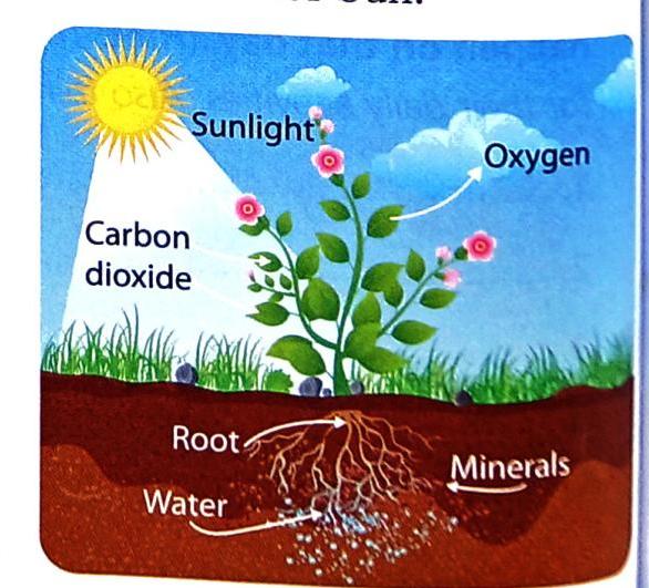 10._Sun_as_a_Natural_Resource_img_5
