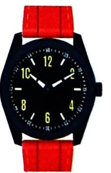 A wristwatch