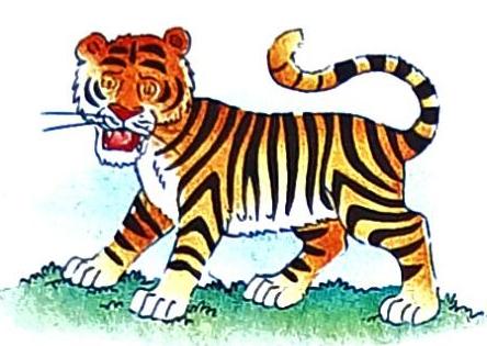 A stylized illustration of an orange and black striped tiger with a white belly and face stands on green grass. The tiger's mouth is open, revealing its teeth, and its tail is curled upwards.