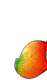 A mango, colored green, yellow, and red, is visible in the lower right corner against a white background.