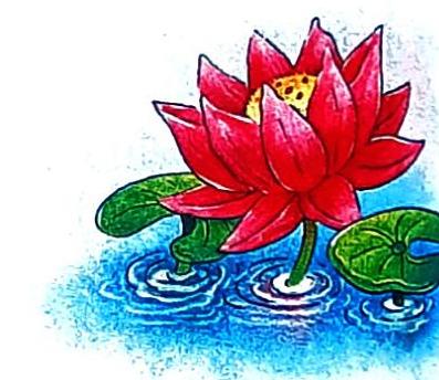 A vibrant red lotus flower blooms on blue water, with green lily pads scattered around it. Ripples are depicted on the surface of the water.