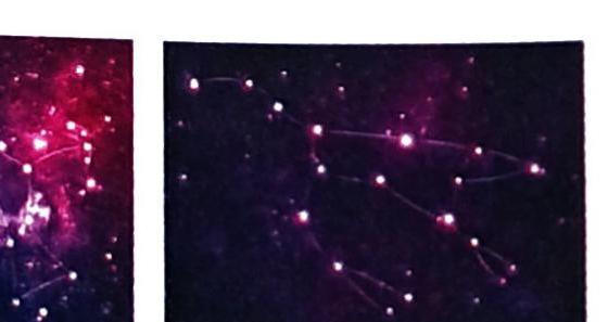 A split image showing a reddish-purple nebula with stars and connecting lines on the left, and a dark sky with a constellation of stars connected by lines on the right.