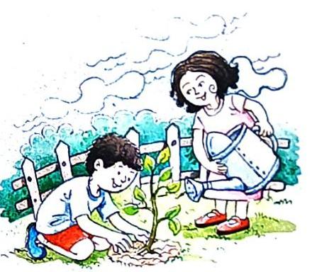 A boy kneels, tending to a young sapling, while a girl pours water from a watering can onto it. A wooden fence borders the scene.