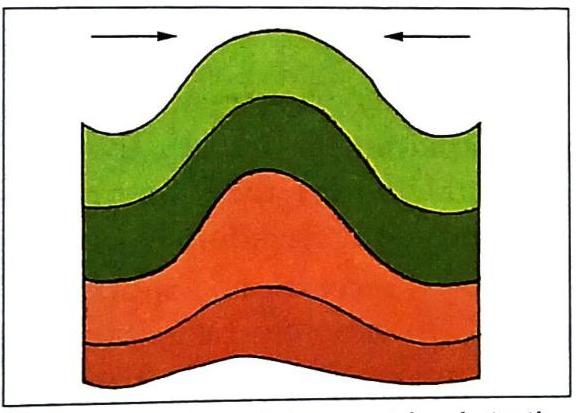 Folded rock strata form an anticlinal structure, with compressional forces indicated by opposing arrows at the top. The layered sequence, from top to bottom, is colored green, dark green, orange, and reddish-orange.