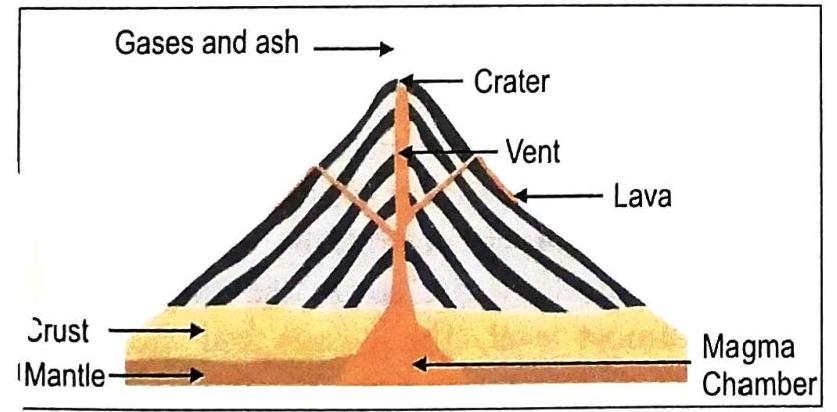 A cross-section of a volcano illustrates its internal structure and features. A central vent extends from the magma chamber, located beneath the Earth's crust and mantle, up through the cone to the crater at the summit. Lava flows out from the sides, and gases and ash are ejected from the top.