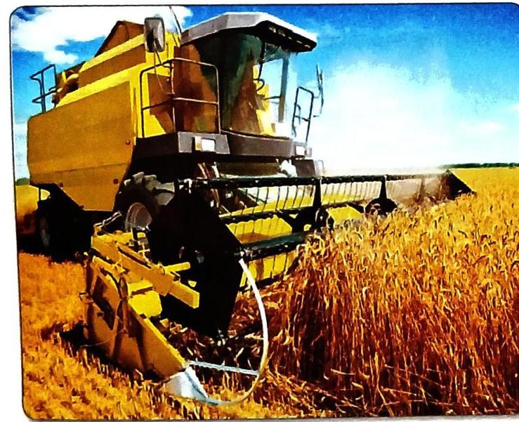 05._Types_of_Agriculture_img_3