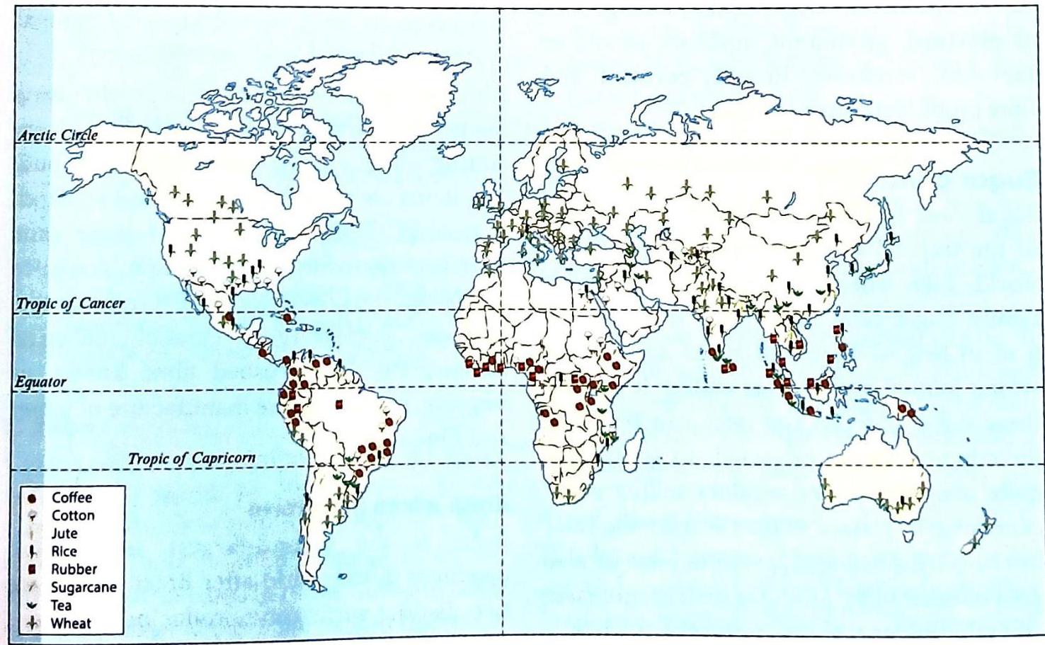A world map detailing the global distribution of Coffee, Cotton, Jute, Rice, Rubber, Sugarcane, and Wheat, each represented by a distinct symbol. The map highlights major cultivation areas across continents, situated in relation to the Equator, Tropic of Cancer, Tropic of Capricorn, and Arctic Circle.