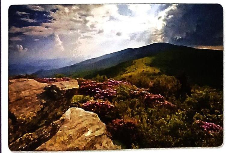 Rolling hills and mountains are viewed under a dramatic sky filled with sunlight and dark clouds. The foreground is dominated by large rocks and green foliage interspersed with clusters of pink flowers.