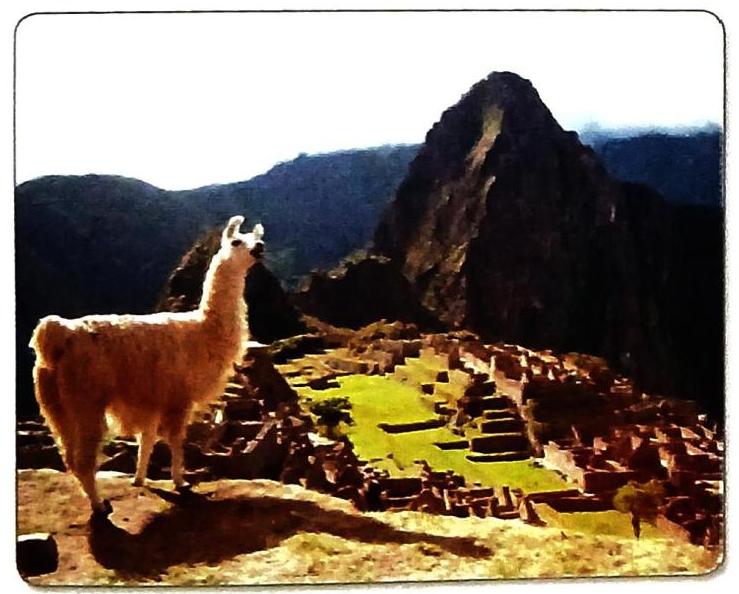 A llama stands on a rocky outcrop overlooking ancient stone ruins and terraced green fields on a mountainside. A large, dark mountain peak dominates the background.