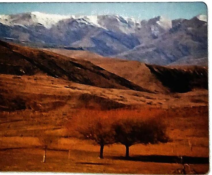Distant snow-capped mountains are visible against a pale blue sky. Undulating, arid hills in shades of brown and tan dominate the middle ground, with areas of deep shadow. In the foreground, several trees with reddish-brown foliage are set against a muted, dry landscape.