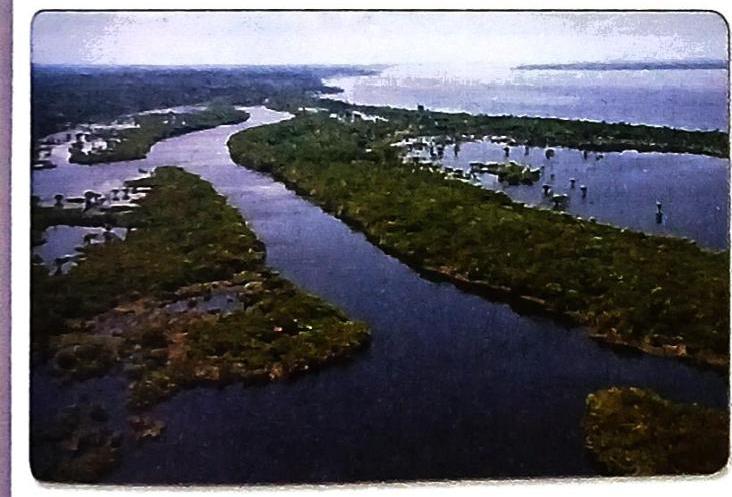 An aerial perspective reveals a winding river and interconnected waterways flowing through dense green vegetation. Scattered vegetation rises from shallow water areas, characteristic of a wetland or flooded landscape, stretching towards a hazy horizon under an overcast sky.