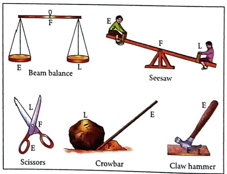 The image displays five examples of simple machines or mechanical devices. A beam balance shows pans labeled E and L connected by a beam balanced at F. A seesaw shows two people, one labeled E and the other L, on a plank pivoted at F. Scissors show handles labeled E, blades labeled L, and a pivot labeled F. A crowbar illustrates a lever with E and L, pivoted at F against a rock. A claw hammer shows the handle labeled E, the nail head load labeled L, and the fulcrum labeled F.