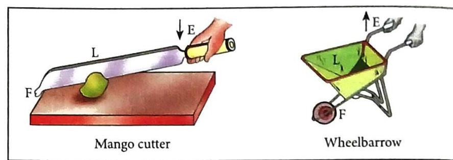 The image displays a mango cutter with a knife slicing a mango, and a wheelbarrow being lifted. Both illustrations are annotated with F for Fulcrum, L for Load, and E for Effort, with arrows indicating the direction of applied effort in each case.