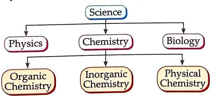 A hierarchical diagram shows Science branching into Physics, Chemistry, and Biology. Chemistry further divides into Organic Chemistry, Inorganic Chemistry, and Physical Chemistry.