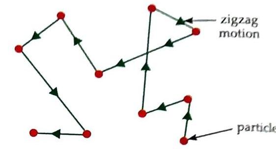 A diagram illustrates zigzag motion with a path composed of connected red dots, each segment marked with a directional arrow. Labels identify the path as 'zigzag motion' and point to the 'particle'.