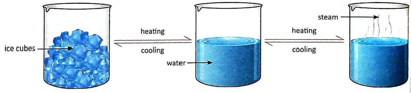 A beaker containing ice cubes is connected by a 'heating' arrow to a beaker of water. A 'cooling' arrow points back to the ice. The water is then heated, forming steam, indicated by a 'heating' arrow and the label 'steam' above a third beaker of water. A 'cooling' arrow shows the reverse process from steam to water.