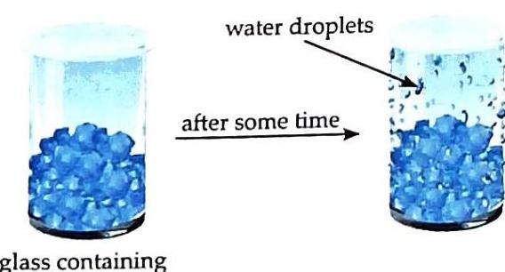 Two beakers contain blue crystals and a liquid. The second beaker, shown after some time, displays water droplets suspended in the liquid and on the inner walls.