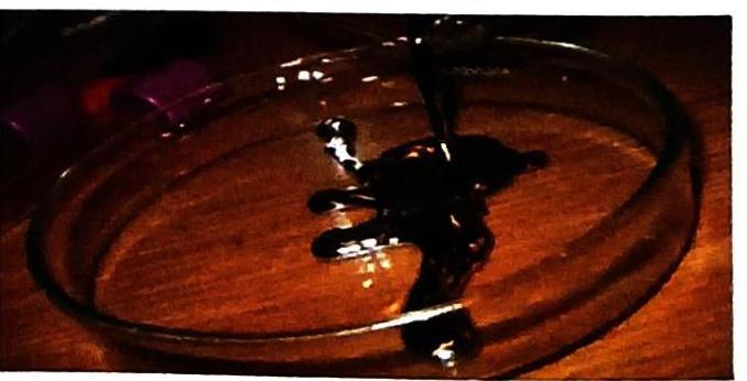 A dark, viscous liquid is poured into a clear glass dish on a wooden surface.