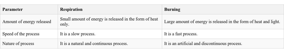 Table Image
