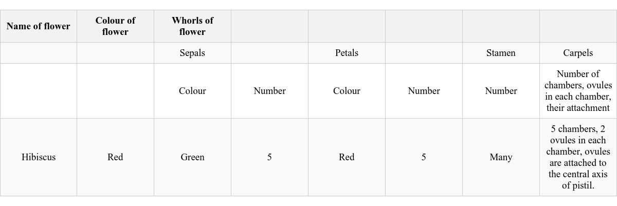 Table Image