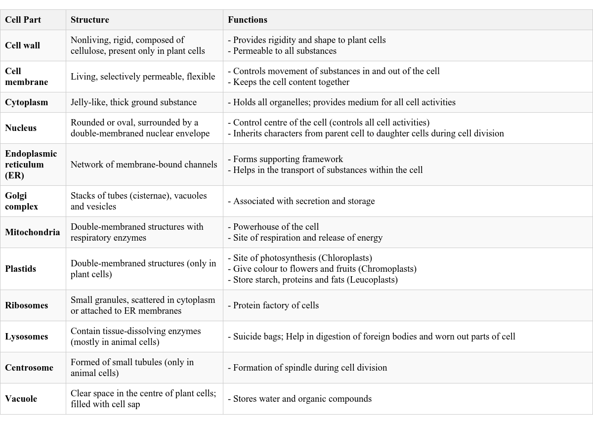 Table Image