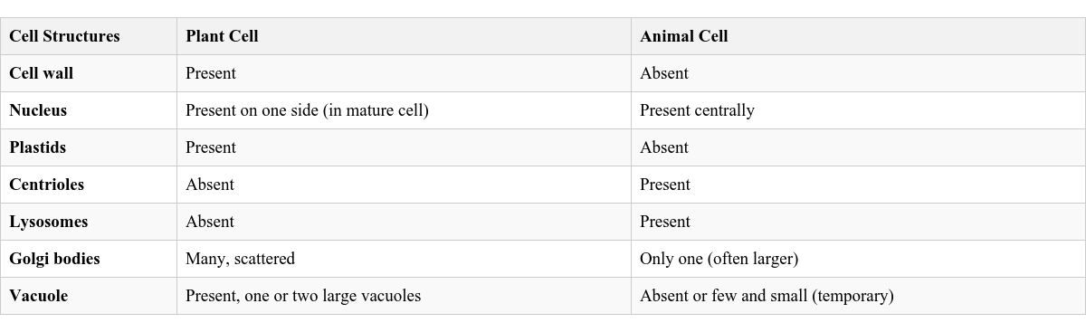 Table Image