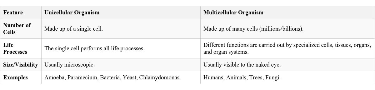Table Image