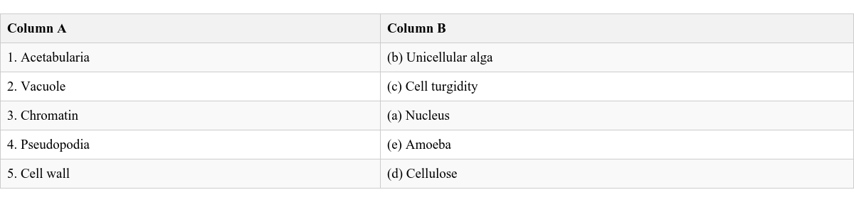 Table Image