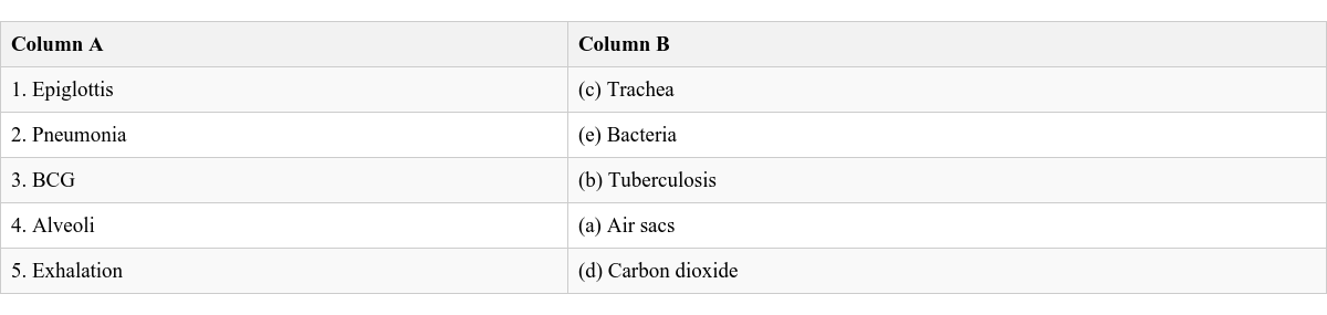 Table Image