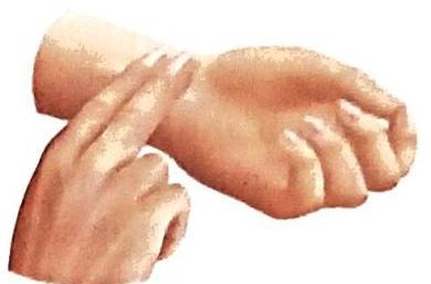 06._Human_Circulatory_System_img_10