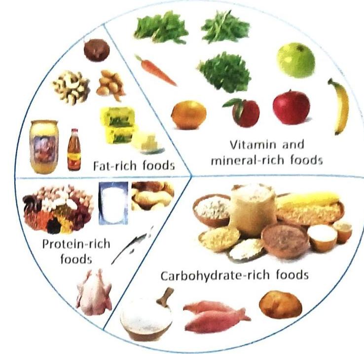 07._Health_And_Hygine_img_2