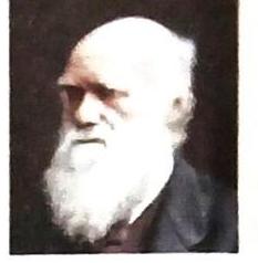 A portrait of an elderly, bald man with a prominent, full white beard. He wears dark clothing and is shown in profile facing left. The background is dark and indistinct.