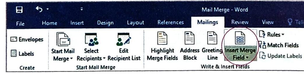 04._Word_Processor-Mail_Merge_img_7