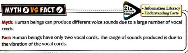 06._Sound_img_13